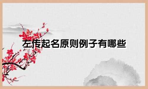 左传起名原则例子有哪些