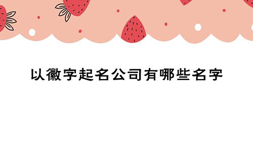 以徽字起名公司有哪些名字