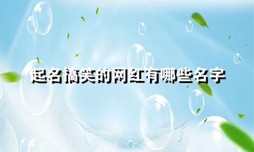 起名搞笑的网红有哪些名字