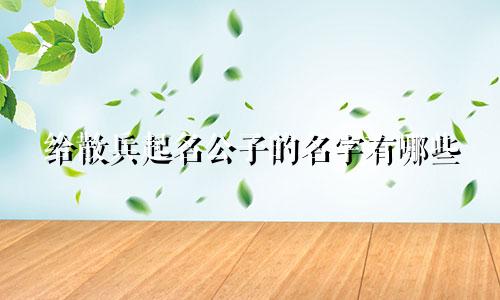 给散兵起名公子的名字有哪些