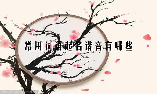 常用词语起名谐音有哪些