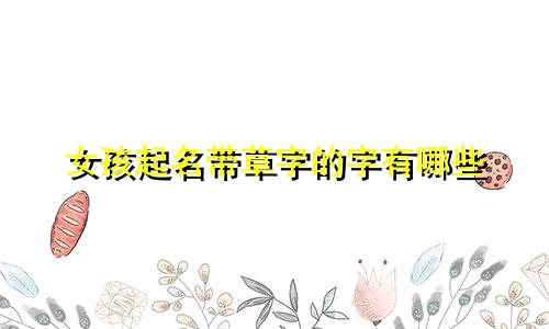 女孩起名带草字的字有哪些