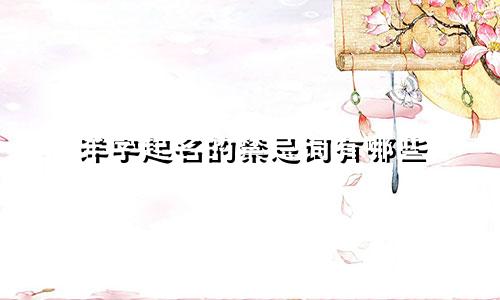 洋字起名的禁忌词有哪些