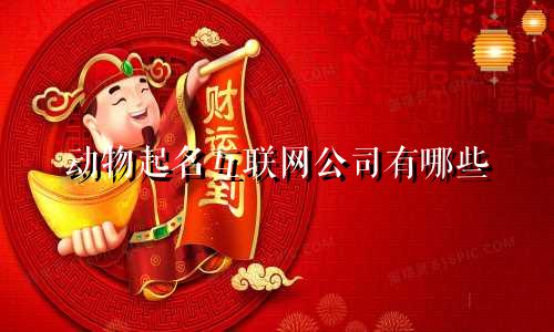 动物起名互联网公司有哪些