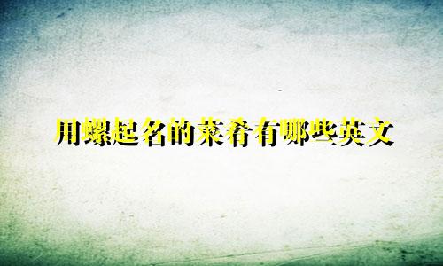 用螺起名的菜肴有哪些英文