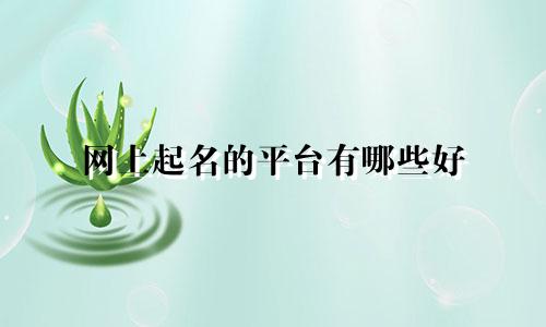 网上起名的平台有哪些好