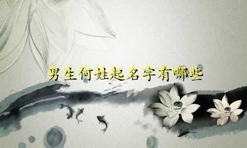 男生何姓起名字有哪些