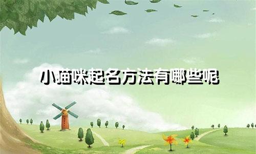 小猫咪起名方法有哪些呢