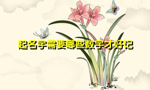 起名字需要哪些数字才好记