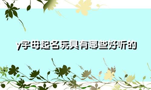 y字母起名玩具有哪些好听的