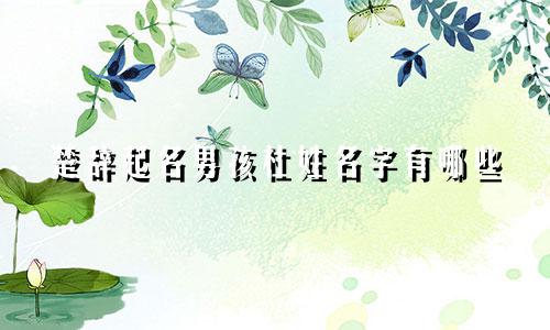楚辞起名男孩杜姓名字有哪些