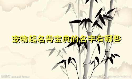 宠物起名带宝典的名字有哪些