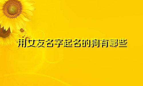 用女友名字起名的狗有哪些