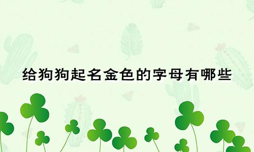 给狗狗起名金色的字母有哪些
