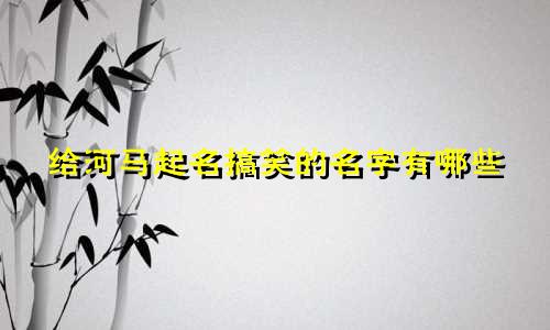 给河马起名搞笑的名字有哪些