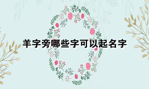 羊字旁哪些字可以起名字