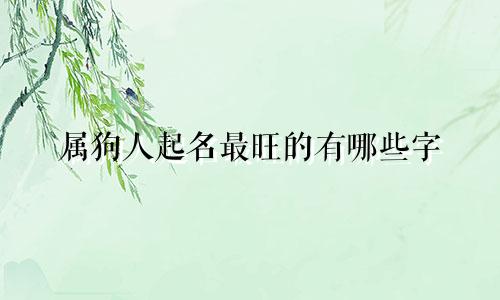 属狗人起名最旺的有哪些字
