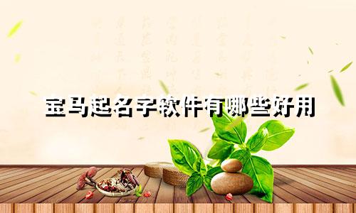 宝马起名字软件有哪些好用