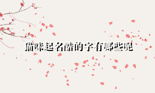 猫咪起名酷的字有哪些呢