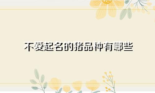 不爱起名的猪品种有哪些
