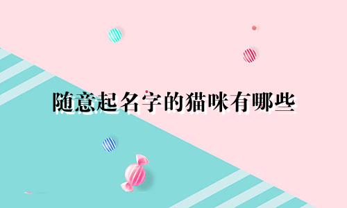 随意起名字的猫咪有哪些