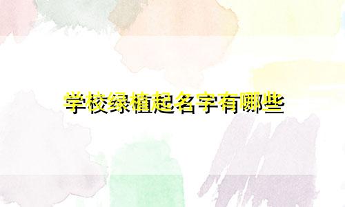 学校绿植起名字有哪些
