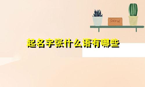 起名字张什么语有哪些