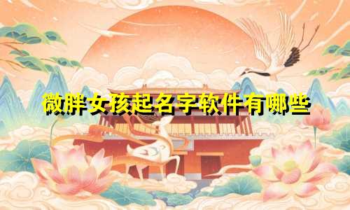 微胖女孩起名字软件有哪些
