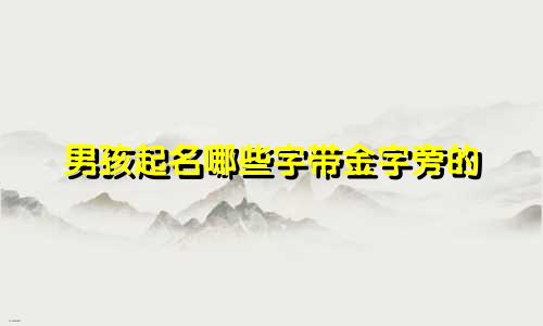 男孩起名哪些字带金字旁的