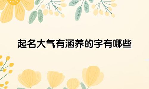 起名大气有涵养的字有哪些