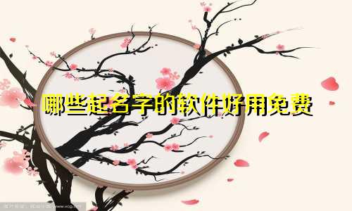 哪些起名字的软件好用免费