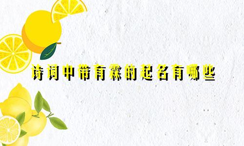 诗词中带有霖的起名有哪些