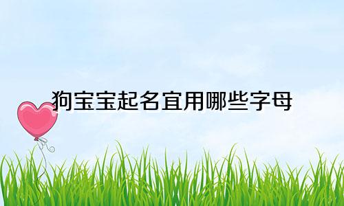 狗宝宝起名宜用哪些字母