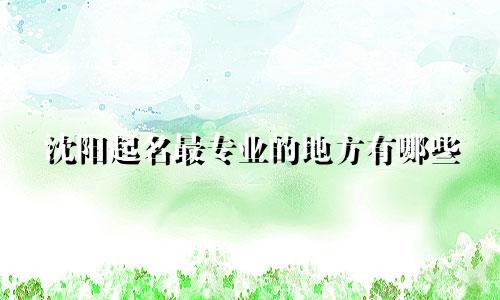沈阳起名最专业的地方有哪些