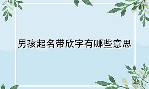 男孩起名带欣字有哪些意思