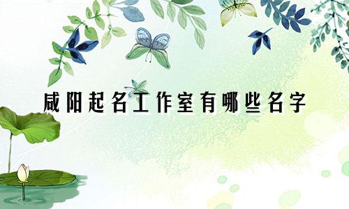 咸阳起名工作室有哪些名字