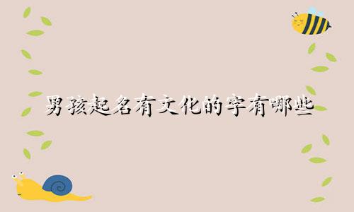 男孩起名有文化的字有哪些