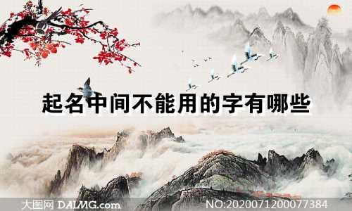 起名中间不能用的字有哪些