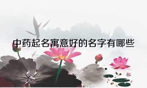 中药起名寓意好的名字有哪些