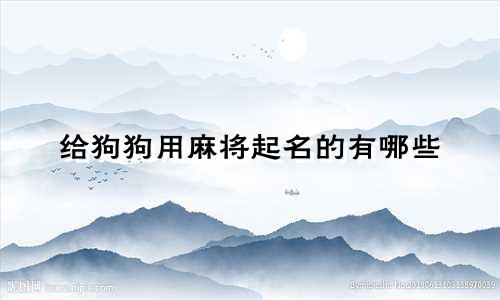 给狗狗用麻将起名的有哪些
