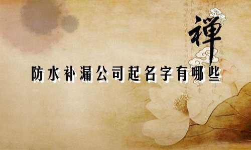 防水补漏公司起名字有哪些