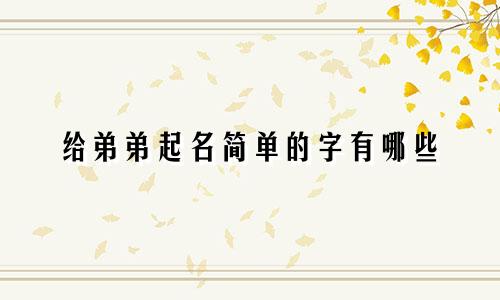 给弟弟起名简单的字有哪些