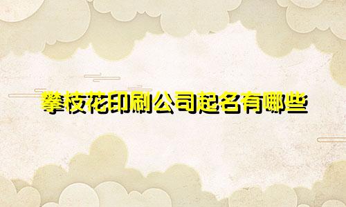 攀枝花印刷公司起名有哪些