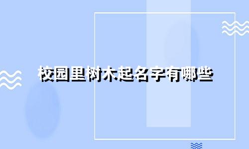校园里树木起名字有哪些