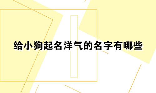 给小狗起名洋气的名字有哪些