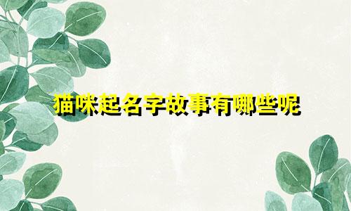 猫咪起名字故事有哪些呢