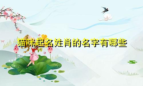 猫咪起名姓肖的名字有哪些
