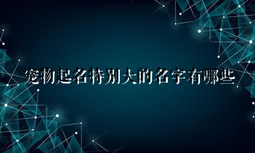 宠物起名特别大的名字有哪些