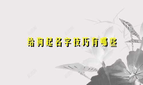 给狗起名字技巧有哪些