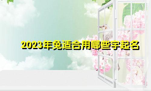 2023年兔适合用哪些字起名